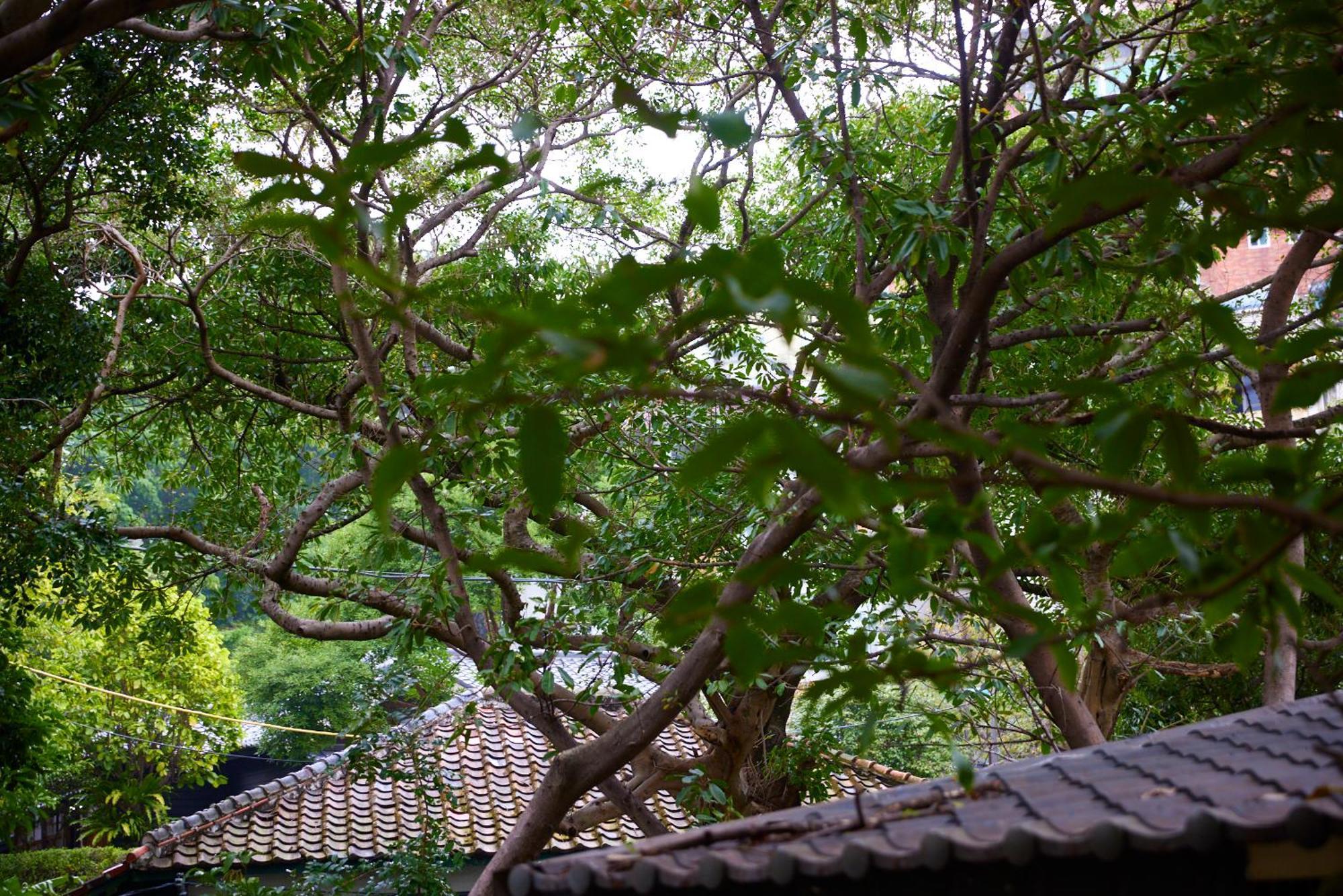 Kyokusui Hotspring Hotel Taipei Eksteriør bilde